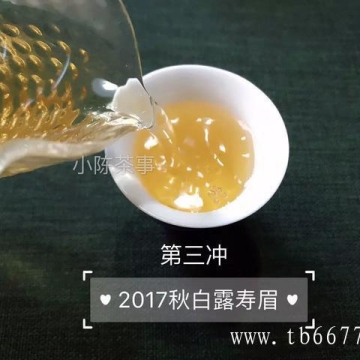 安吉白茶市场哪家最好