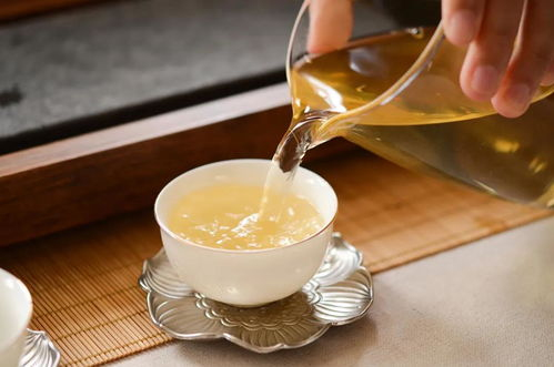 



听说秋白茶都是老叶子，不怕闷，泡不苦？
