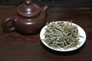 福鼎白茶的原料是什么茶树