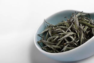 福鼎白茶是什么品种茶制作的