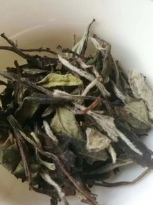 白茶中有很多的茶梗和老叶子