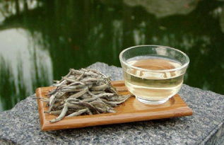 福鼎白茶的传统工艺与新工艺区别