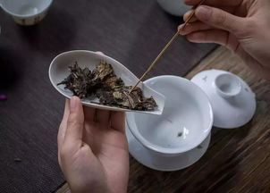 福鼎白茶的品质特征是什么