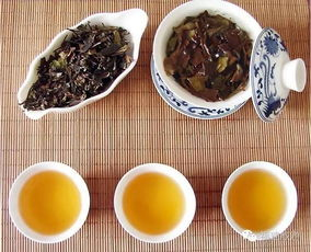 福鼎白茶茶树特征