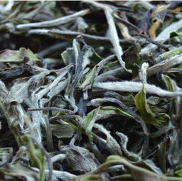 



作为高产的白茶，你了解寿眉吗？它包括了春茶、秋茶，散茶、饼茶
