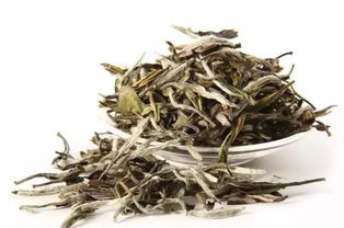 福鼎老白茶的价格是多少钱一斤