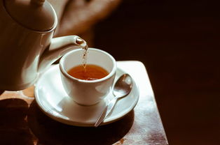 福鼎白茶的室内储存温度多少最合适