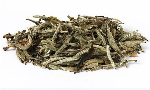 福鼎白茶有几个品种怎么区分