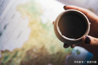 福鼎白茶一年茶三年药七年宝国家认可的标准