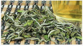 福鼎白茶有哪些品种福建省福鼎市白茶的分类