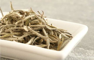 福鼎白茶的树种是什么树种华茶1号和华茶2号最著名