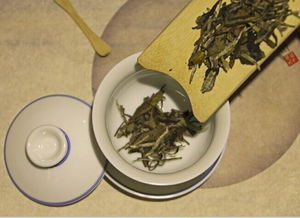 太姥山白茶与绿雪芽是不是一家