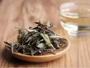 世界白茶在中国中国白茶在福鼎是谁说的