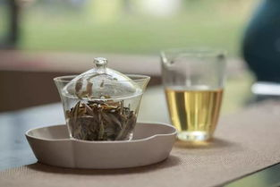 福鼎老白茶白牡丹是什么级别的茶