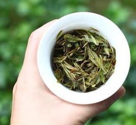 福鼎老白茶的香气特点是什么香