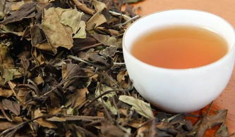 安吉白茶和福鼎白茶的区别