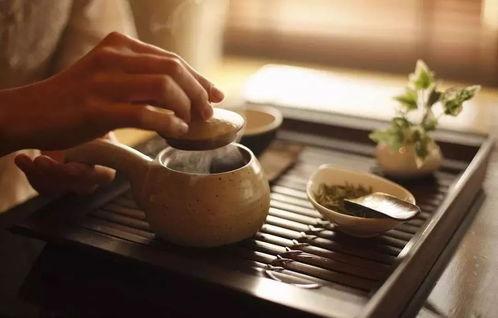 福鼎白茶属于什么茶类热性还是凉性