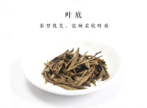 福鼎白茶的品质特征是什么