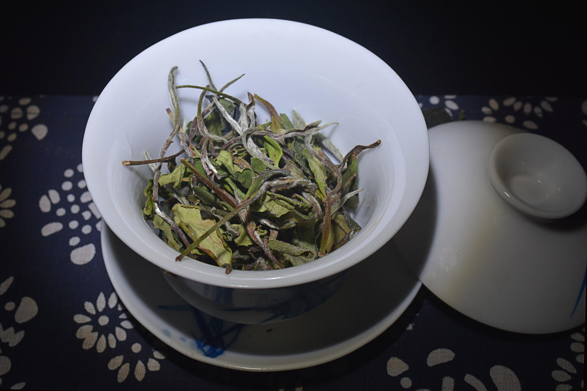 福鼎白茶的功效与作用适合什么季节喝