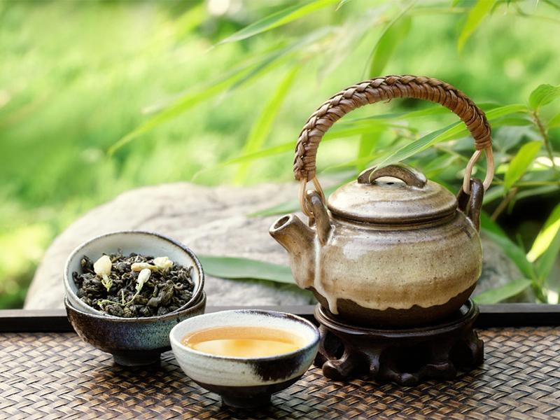 福鼎白茶属于什么绿茶还是红茶