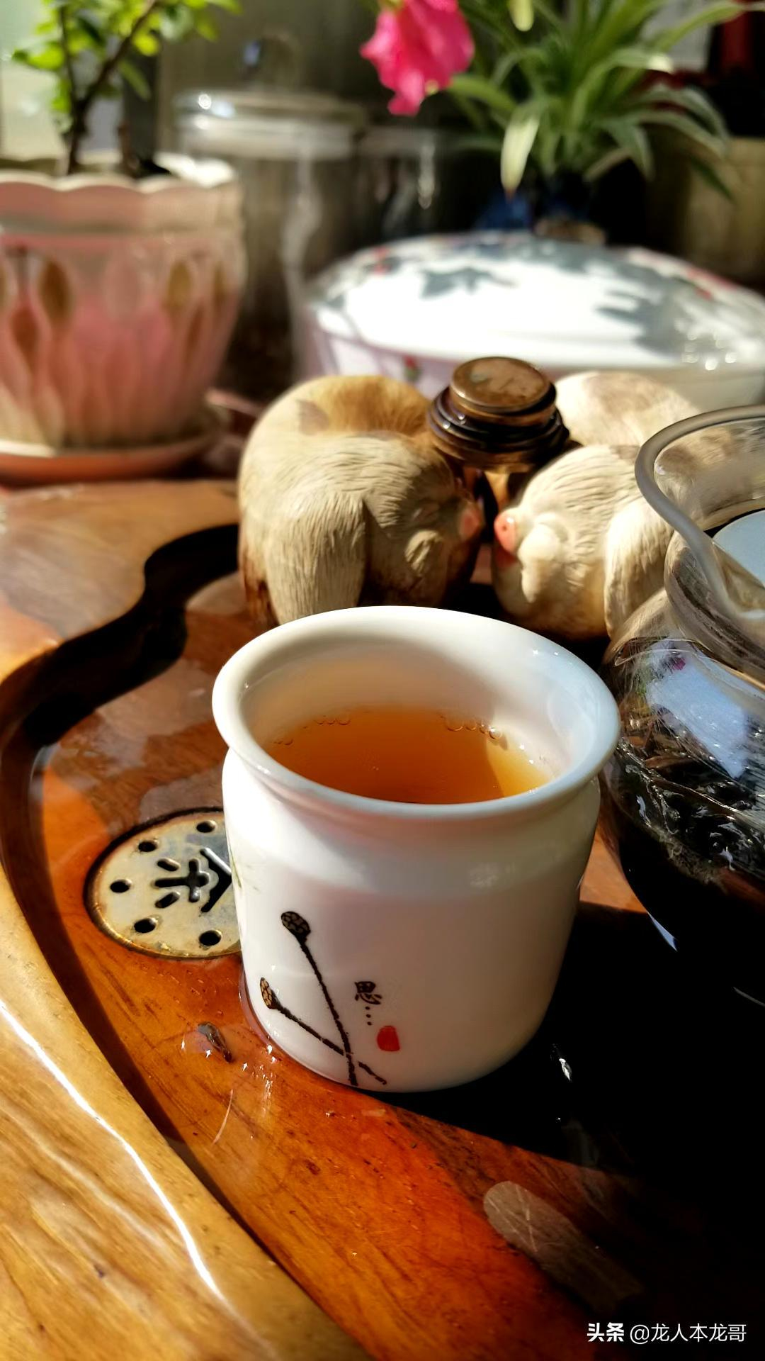 



春节备齐这7种茶具，喝红茶、白茶、岩茶都能用，省钱又方便
