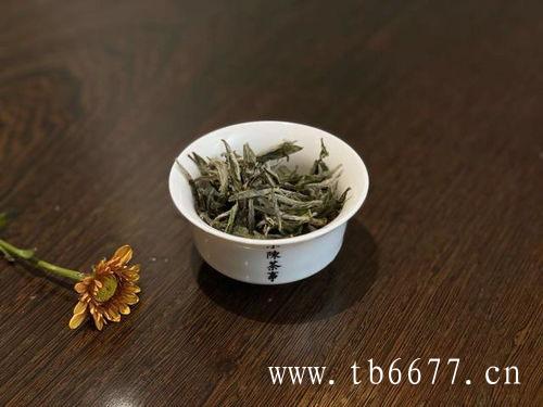 白牡丹茶