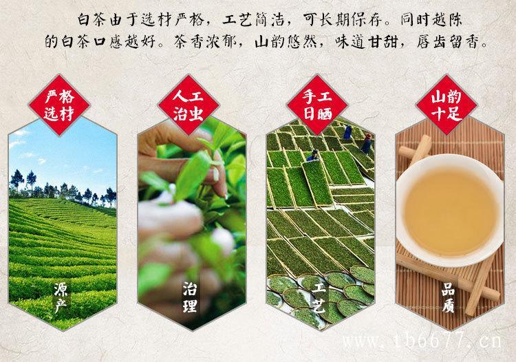 白茶茶梗