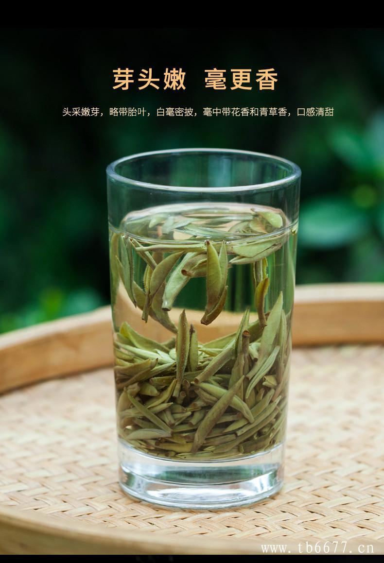 白牡丹茶多少钱