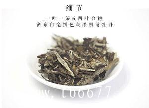 白牡丹茶的冲泡方法