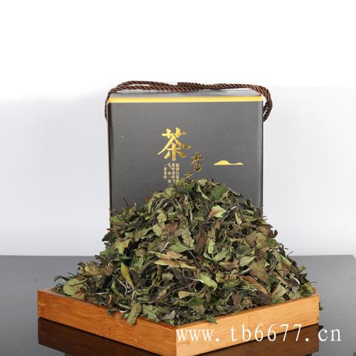 白茶减肥效果比绿茶好