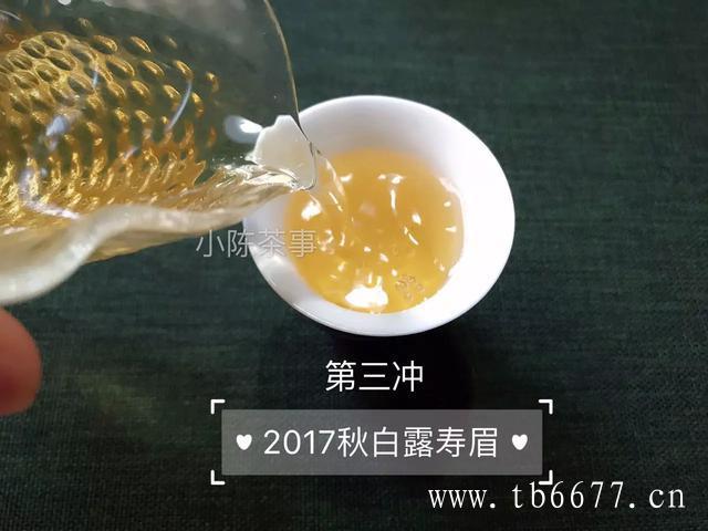 喝老白茶的禁忌