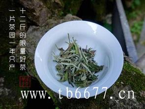 福鼎白茶什么时候喝好