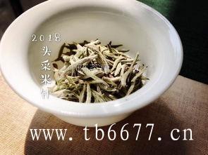 福鼎白茶药用价值