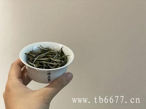 白牡丹茶有毫香