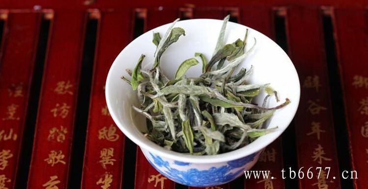 福鼎白茶属于发酵茶