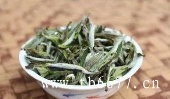 最圆的绿茶雷山银球茶