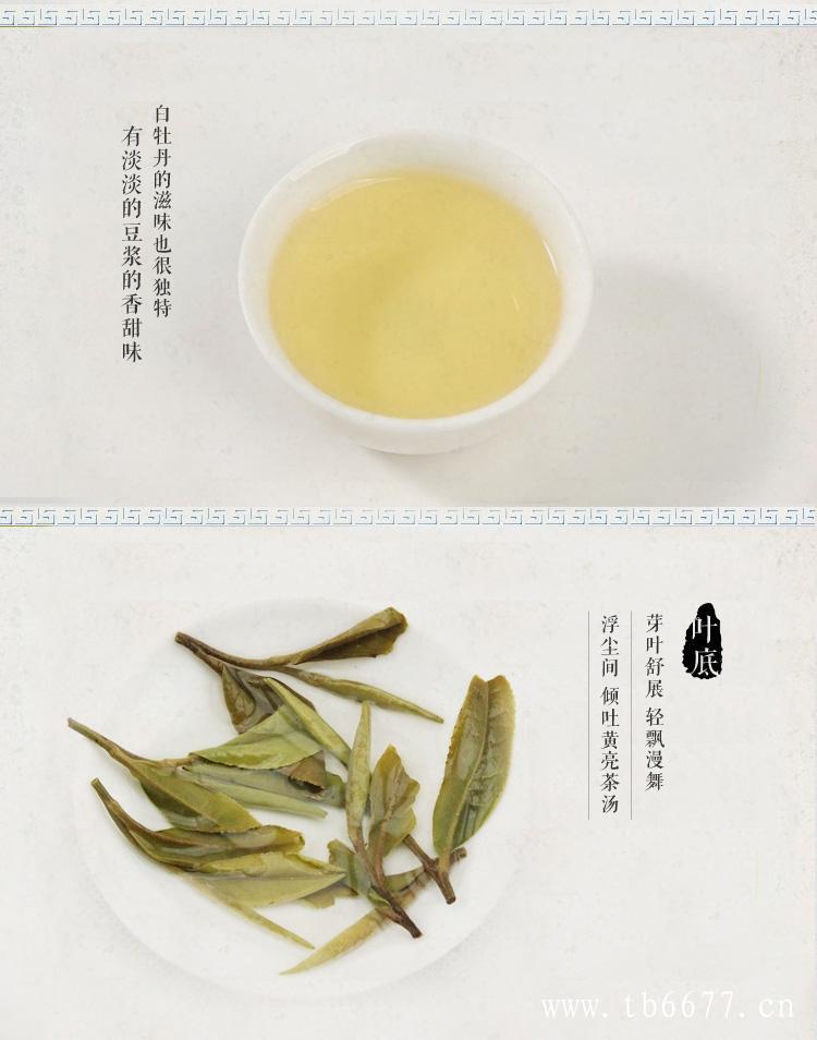 白茶饼冲泡注意事项