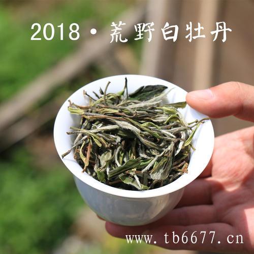 影响泡茶的几个因素