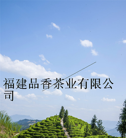 福建品香茶业有限公司